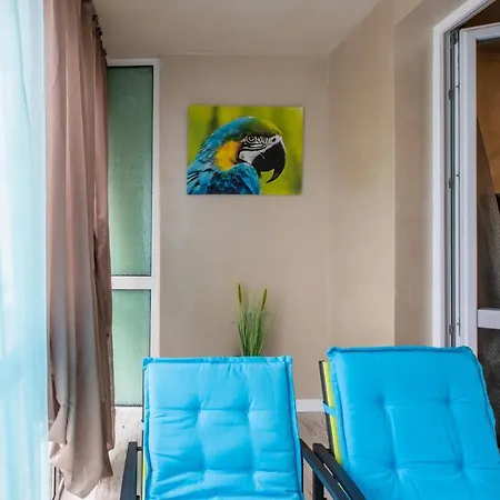 Blue тerrace Center *