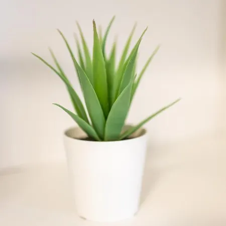 Blue тerrace Center Apartment Warna