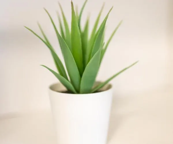 Blue тerrace Center Apartment Warna